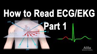 How to Read ECGEKG Part 1 Animation [upl. by Niuqauj]