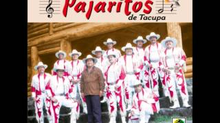 Super banda los pajaritos de tacupa mix [upl. by Aicilra]