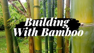 Building with Bamboo Framing a Roof [upl. by Michaeu]