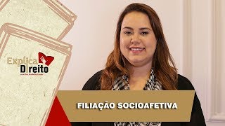 Explica Direito Filiação Socioafetiva  2019 [upl. by Eatnoled]