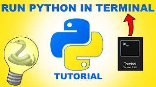 Python Tutorial for Beginners  How to run Python in Terminal [upl. by Atillertse595]