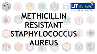 Methicillin Resistant Staphlococcus Aureus Infections [upl. by Inahet376]