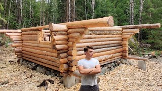 One Year Alone In The Forest Building A Log Cabin [upl. by Lledniw539]