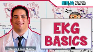 EKG Basics  How to Read amp Interpret EKGs Updated Lecture [upl. by Barraza841]