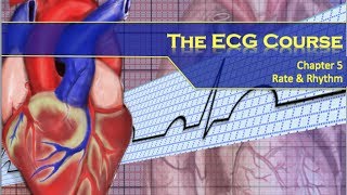 The ECG Course  Rate amp Rhythm [upl. by Healey]