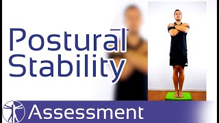 Postural Stability Assessment  Cervicogenic Dizziness [upl. by Dafna487]