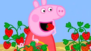 Peppa Pig Full Episodes  Season 8  Compilation 47  Kids Video [upl. by Artined]