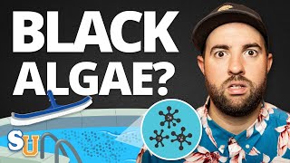 How To Get Rid Of BLACK ALGAE In Your POOL [upl. by Dick]