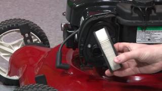 How To Change a Lawn Mower Air Filter [upl. by Son698]