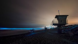 Algae causes glowing aqua waves in San Diego [upl. by Nahij255]