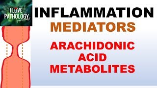 INFLAMMATION Part 5 Chemical Mediators ARACHIDONIC ACID METABOLITES [upl. by Arakat]