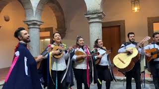 Estudiantina Guadalajara  Vamos pastores vamos [upl. by Oeram]