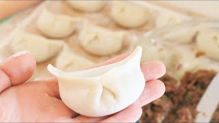 How to Make Chinese Dumplings From Scratch [upl. by Danya]