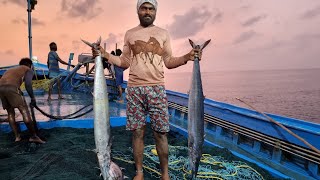 ஐந்தாம் நாளில் கடலில் பிடித்த மொத்த மீன்கள் amp நிகழ்வு5th Day Stay Fishing in deep seaEpisode24 [upl. by Peace992]