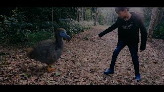 The Dodo  Short Film [upl. by Aniham]