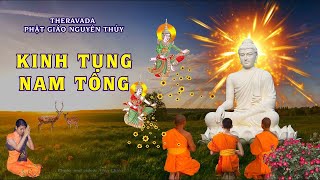 KINH TỤNG NAM TÔNG phụ đề  paliviệt [upl. by Anoik352]