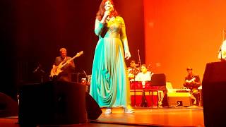 Agar Tum Saath Ho  Alka Yagnik Live in Concert Washington DC [upl. by Horodko]