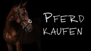 Pferd kaufen ✮ [upl. by Lerim]