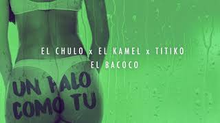 El Chulo x El Kamel x El Bacoco x Titico  Un Palo Como Tu [upl. by Ehtiaf]