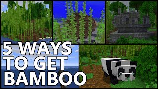 5 Ways To Get BAMBOO In Minecraft [upl. by Eenerb]