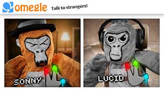 OMEGLE Trolling in Gorilla Tag [upl. by Charlie]