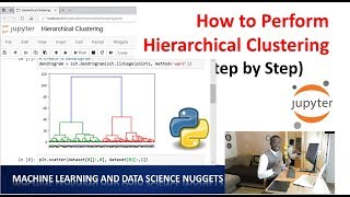 How to Perform Hierarchical Clustering in Python Step by Step [upl. by Alyahsat]