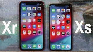 iPhone Xr vs iPhone Xs  Full Comparison [upl. by Anirbaz]