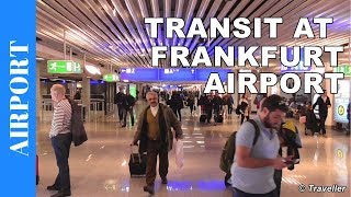 TRANSIT WALK AT FRANKFURT Airport FRA Terminal 1  Connection Flight Transfer Arriving amp Departing [upl. by Ranson]