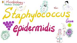 Staphylococcus epidermidis  Microbiology 🧫 amp Infectious Diseases 🦠 [upl. by Ellehcit]